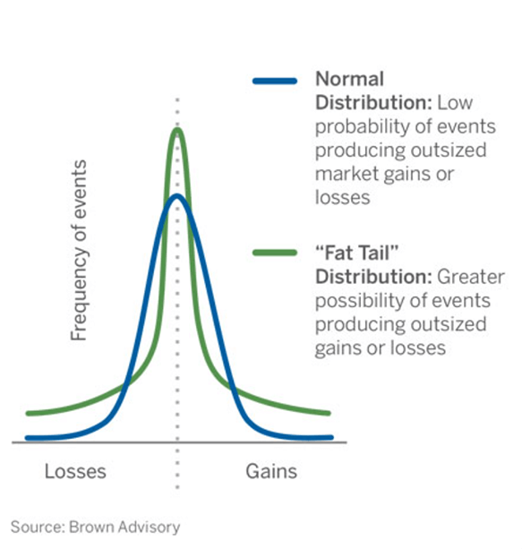 Hedge Fund Risk Management: Fat Tail Distribution