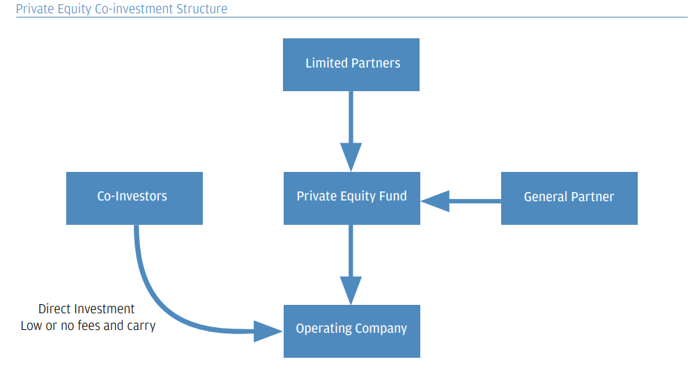 Special Purpose Vehicle: Private Equity Co-Investment Structure