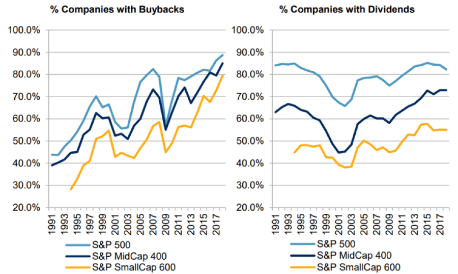 What Are Stock Buybacks? | Crystal Capital Partners