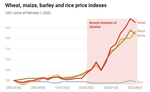 Cost of War: Chart Cost of Wheat, maize, barley and rice price indexes