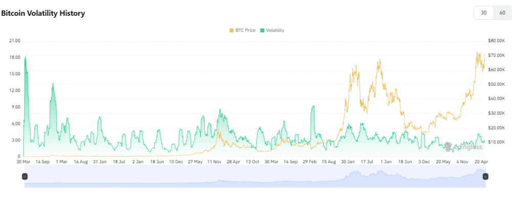 Exploring the Battle of Assets: Gold vs. Bitcoin: Bitcoin Volatility History