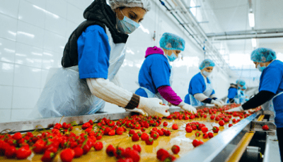 The Ozempic Effect & the Potential Investment Opportunities: Food Industry 