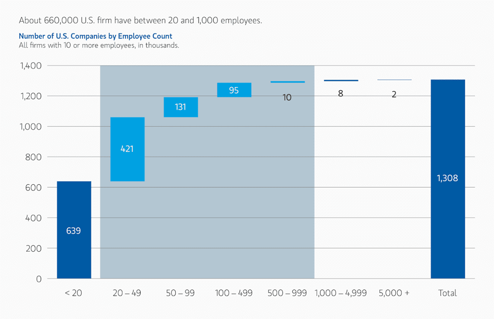 US Equities Lead 2024 Records Into 2025 Crossroads: Chart - Small And Mid Sized Companies Target For PE