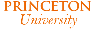 Private Investment Allocations Princeton University